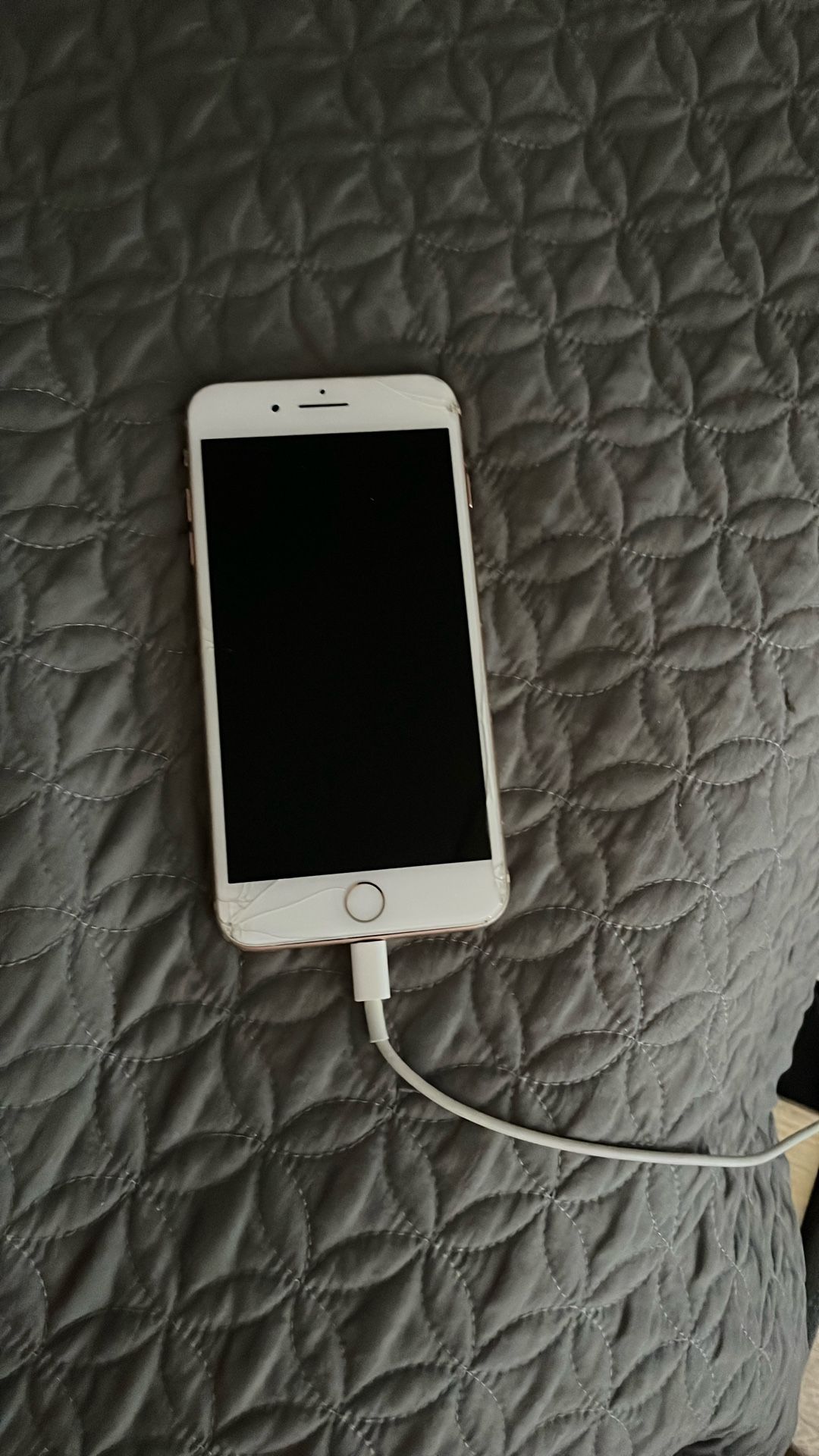 iPhone 8 Plus