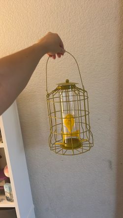 Bird Cage 