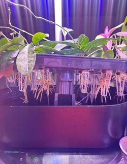 Hydroponic Propagation station new