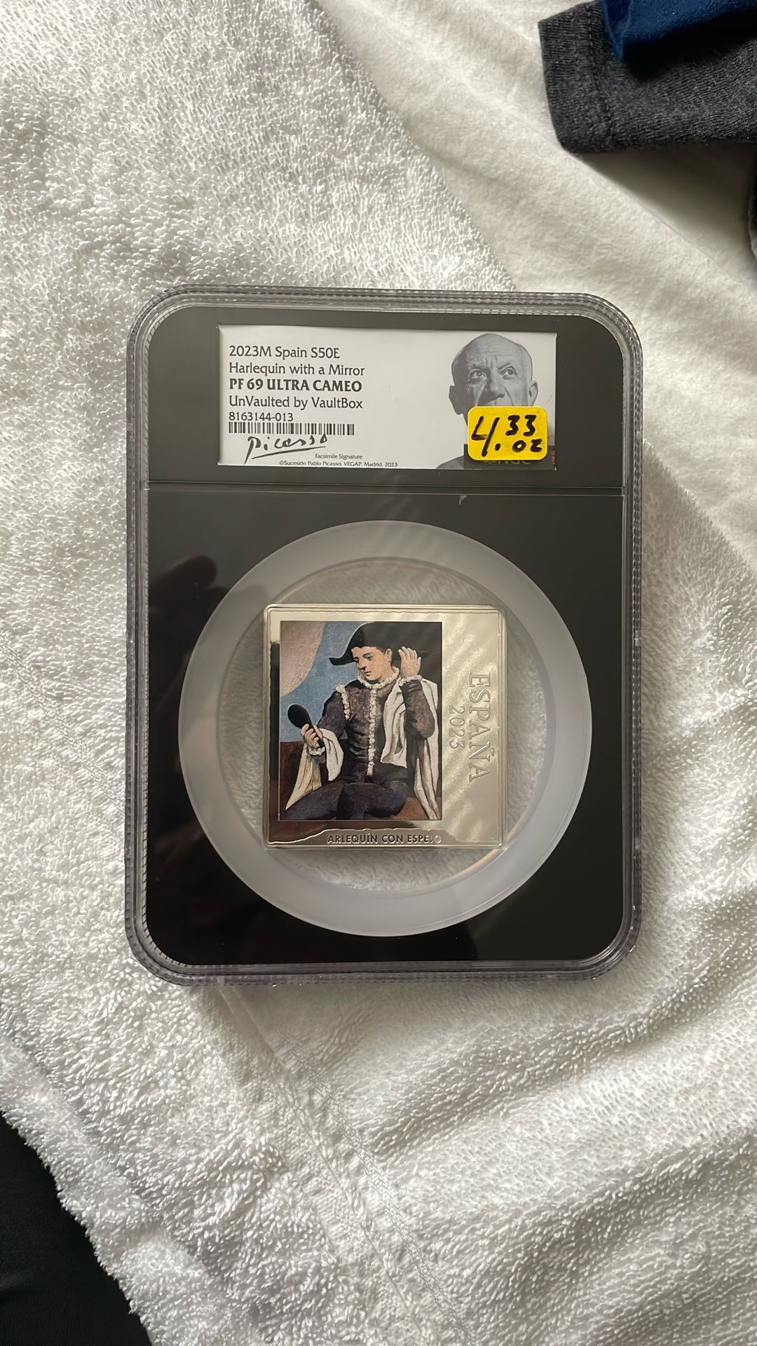 Harlequin With A Mirror