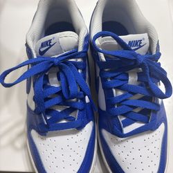 NIKE DUNKS SIZE 5.5 youth