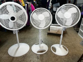 Standing Fans