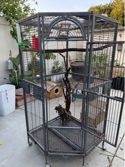 Corner cage for a parrot