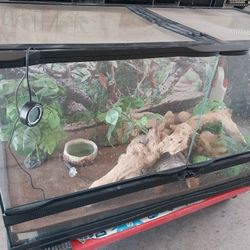 Zoo Med 40-Gallon Front Opening Reptile Tank