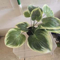 Artificial Table Top Greenery Potted Plant 