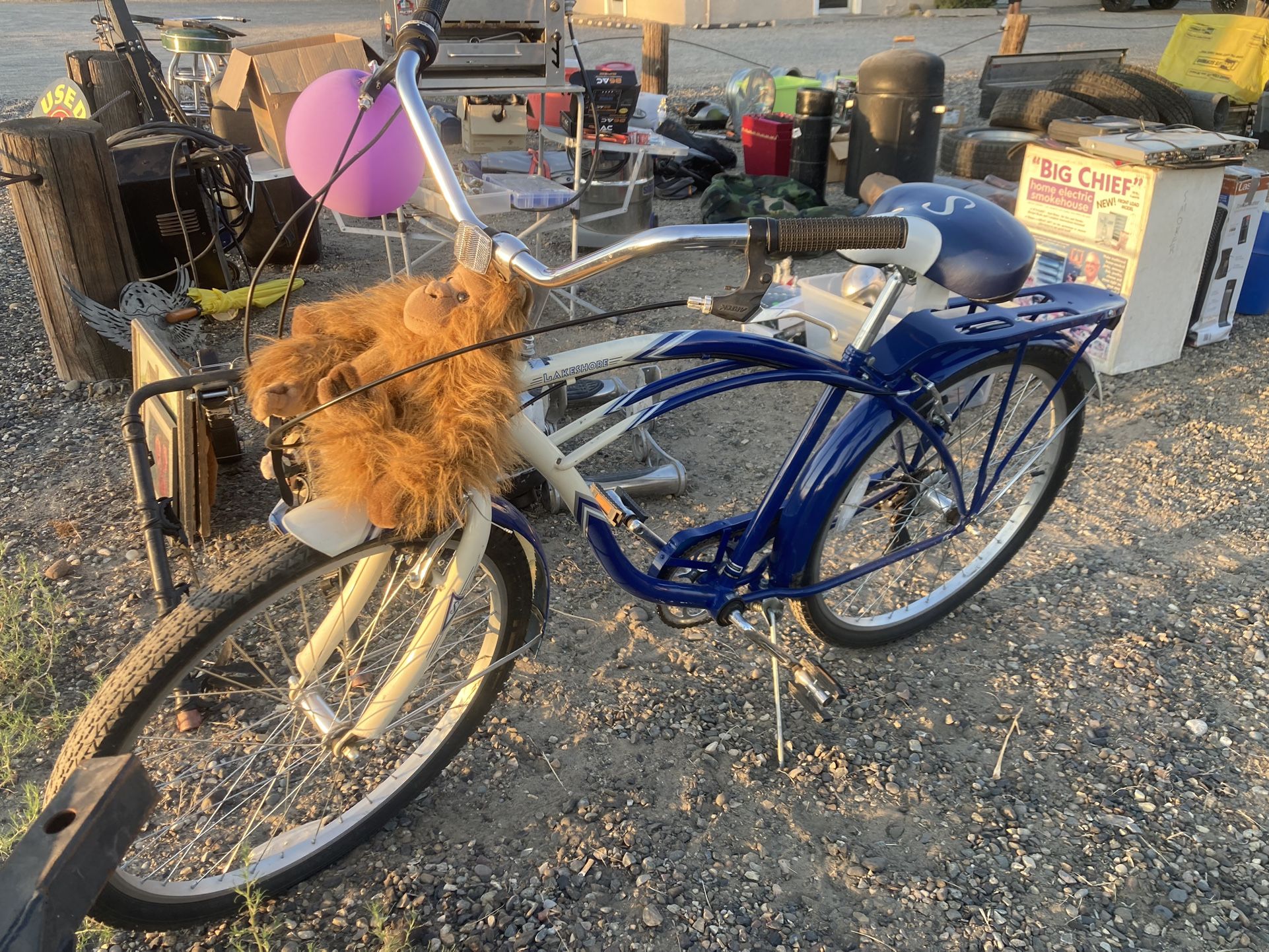 Schwinn Bike