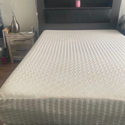 Queen Bed And Boxspring $100