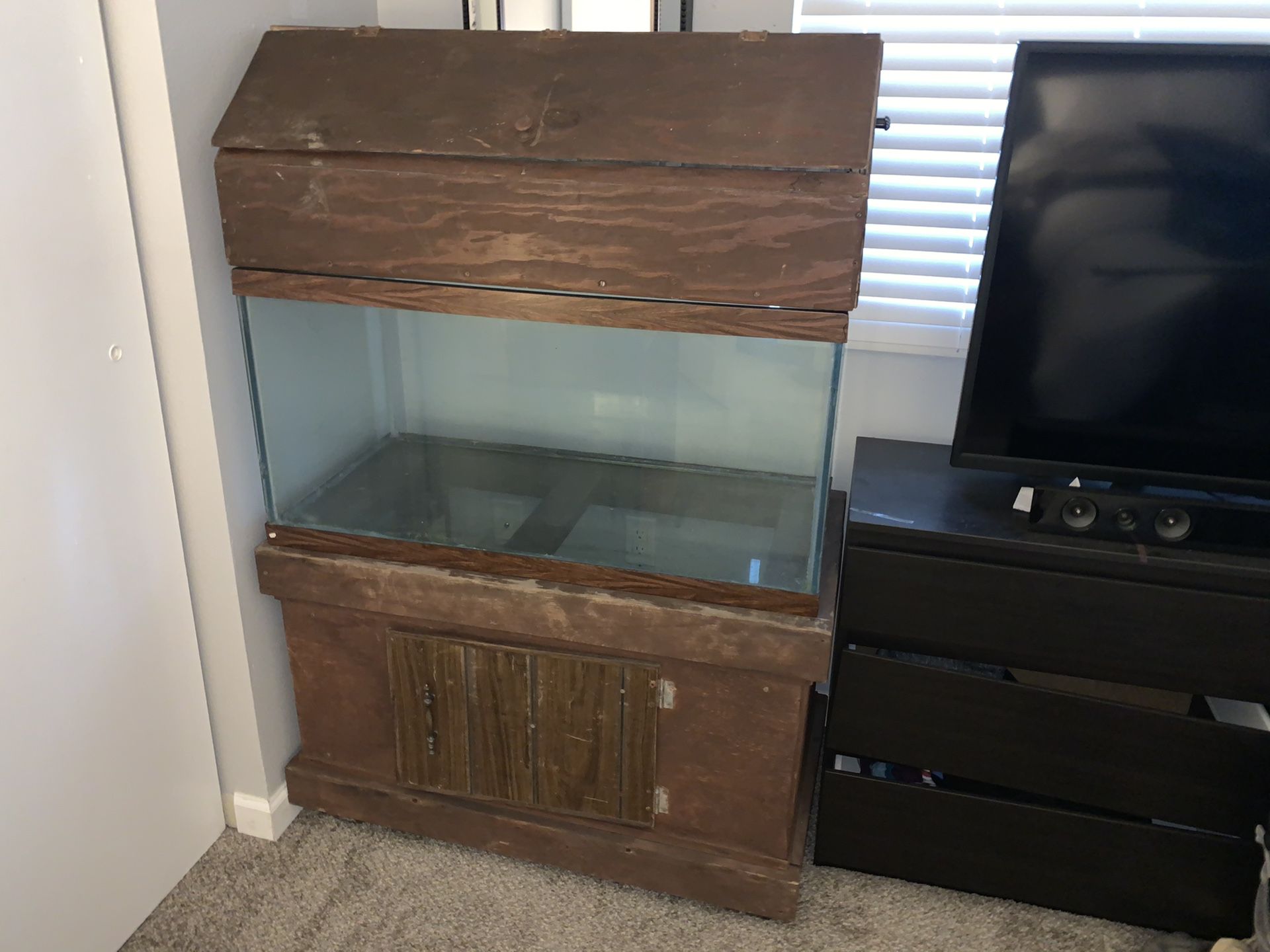 50 gallon aquarium with stand and hood