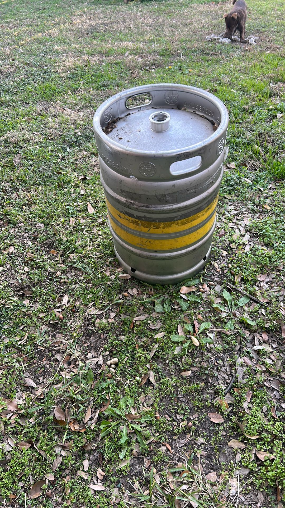2 Beer Kegs