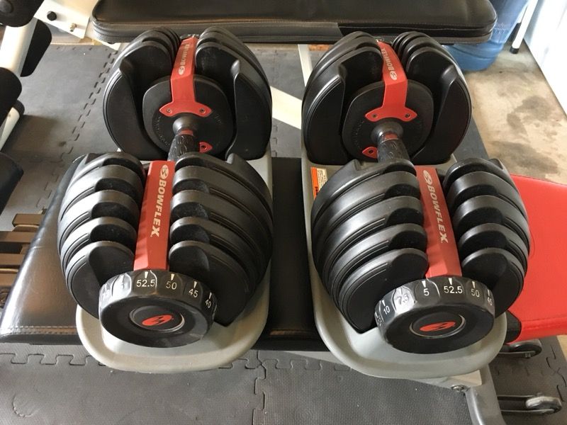 Bowflex SelectTech 552 Adjustable Dumbbell Weight Set With Bench