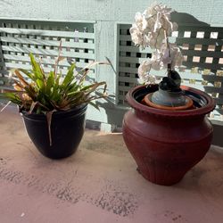 Garden Pots