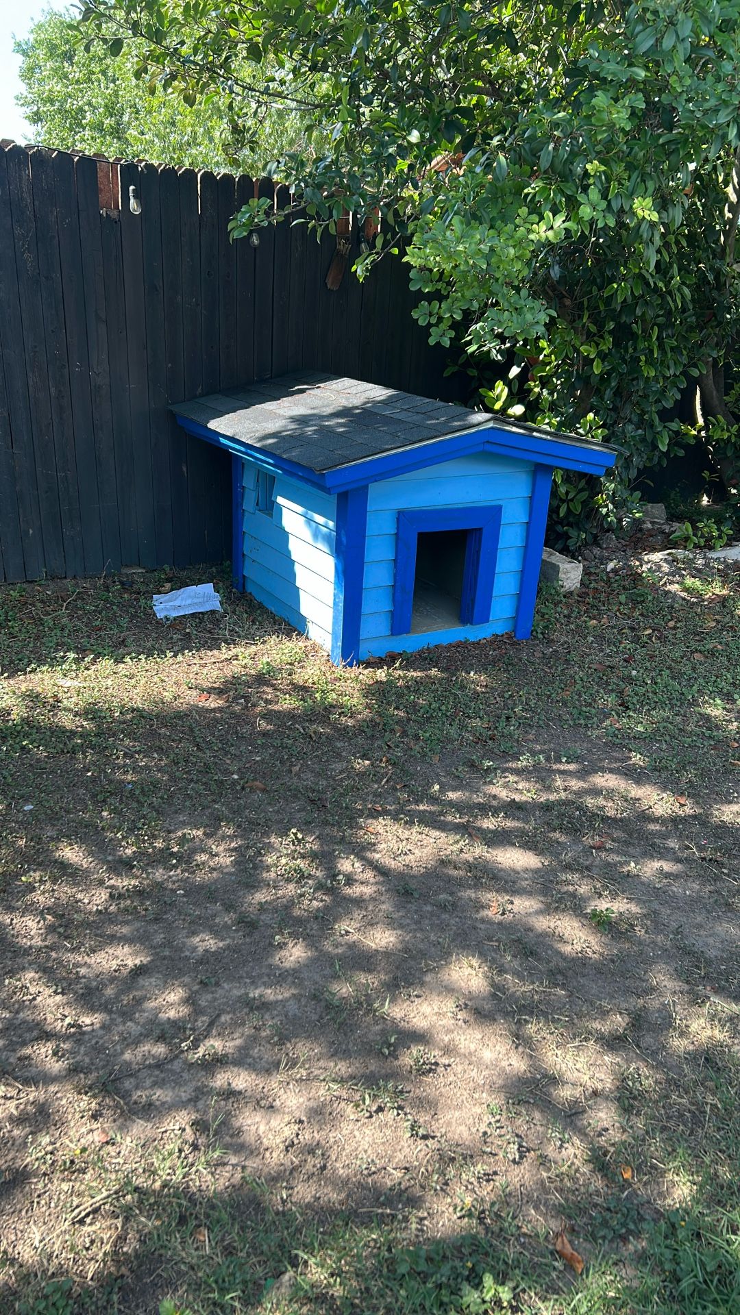Big Dog House