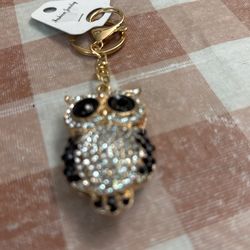  $10 New Owl Key Chain