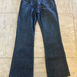 X2 Denim Labratory Women’s Flare Blue Jeans Size W10