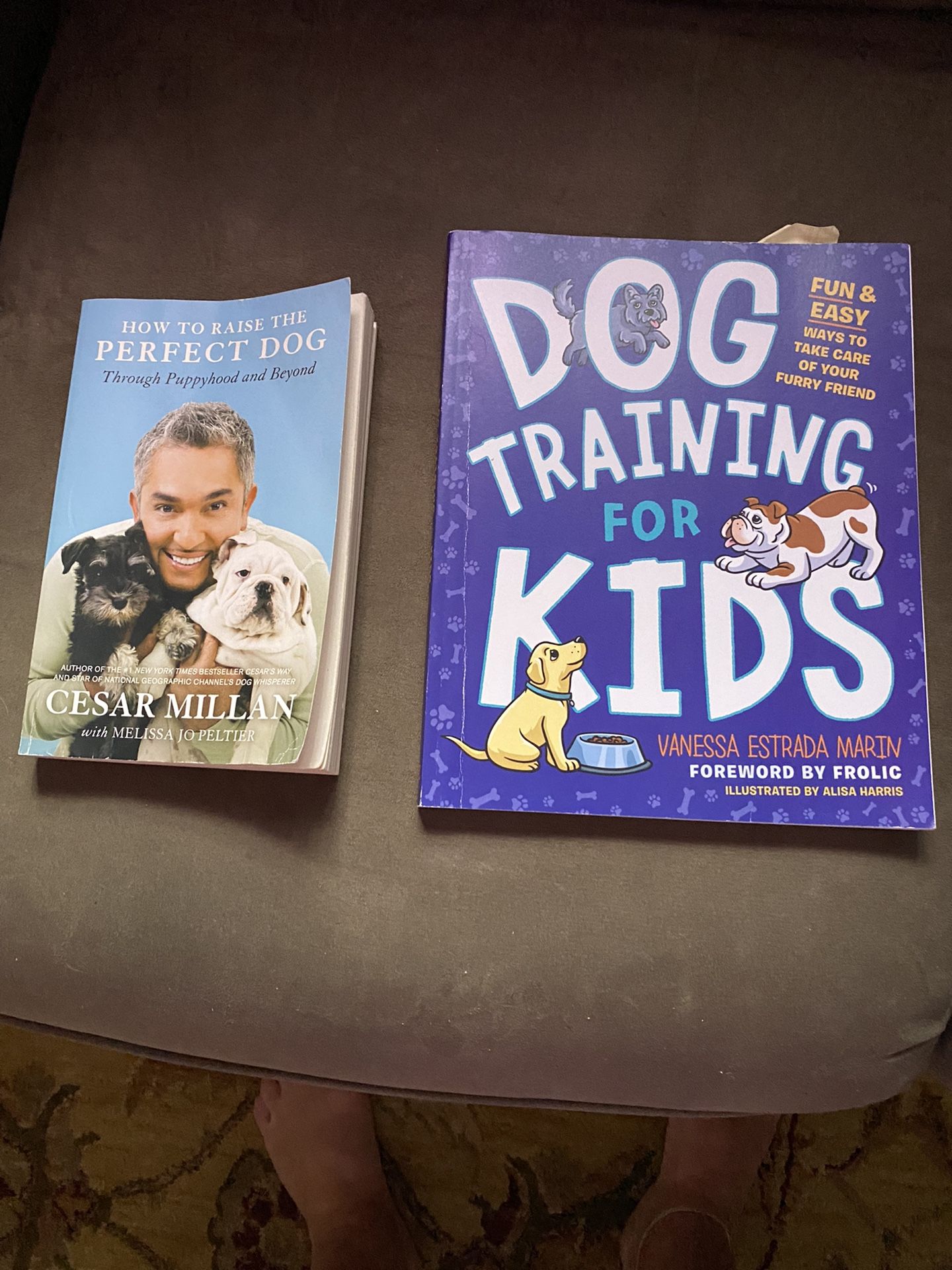 How To Train Your Dog