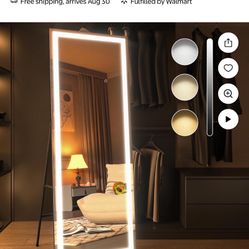 Full Body Mirror 