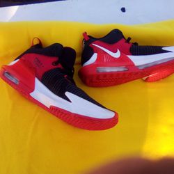 Nike LeBron Witness VII