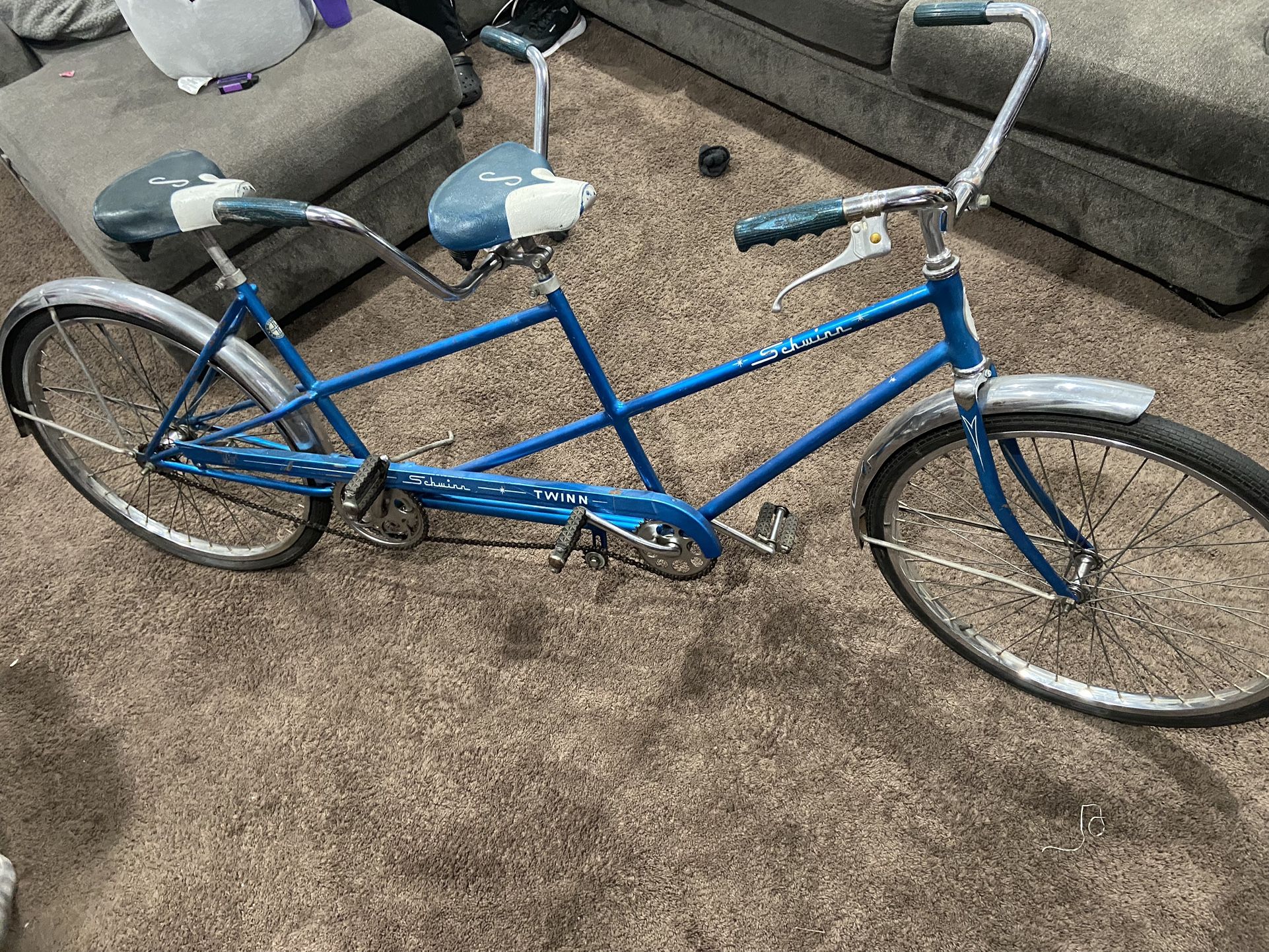 Schwinn Bike  Double Seater 