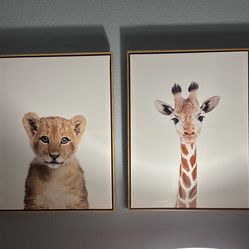Animal Portraits 