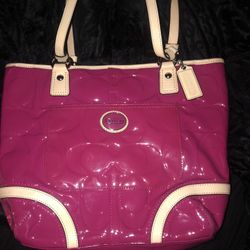 Michael Kors and Coach Purse 