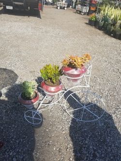 Maceteros de bicicleta