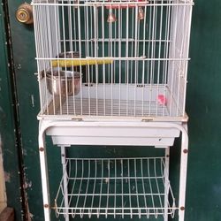 Bird Cage 