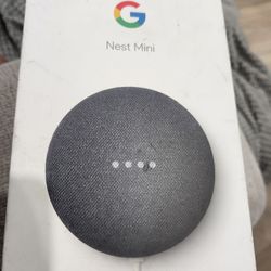 Nest Mini Google Speaker 