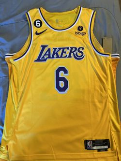 Lebron James Nike Jersey