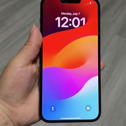 Iphone 13 Pro Max 256 GB Unlocked