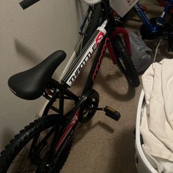 Brand New Bike 