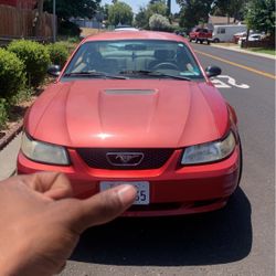 2000 Ford Mustang V8