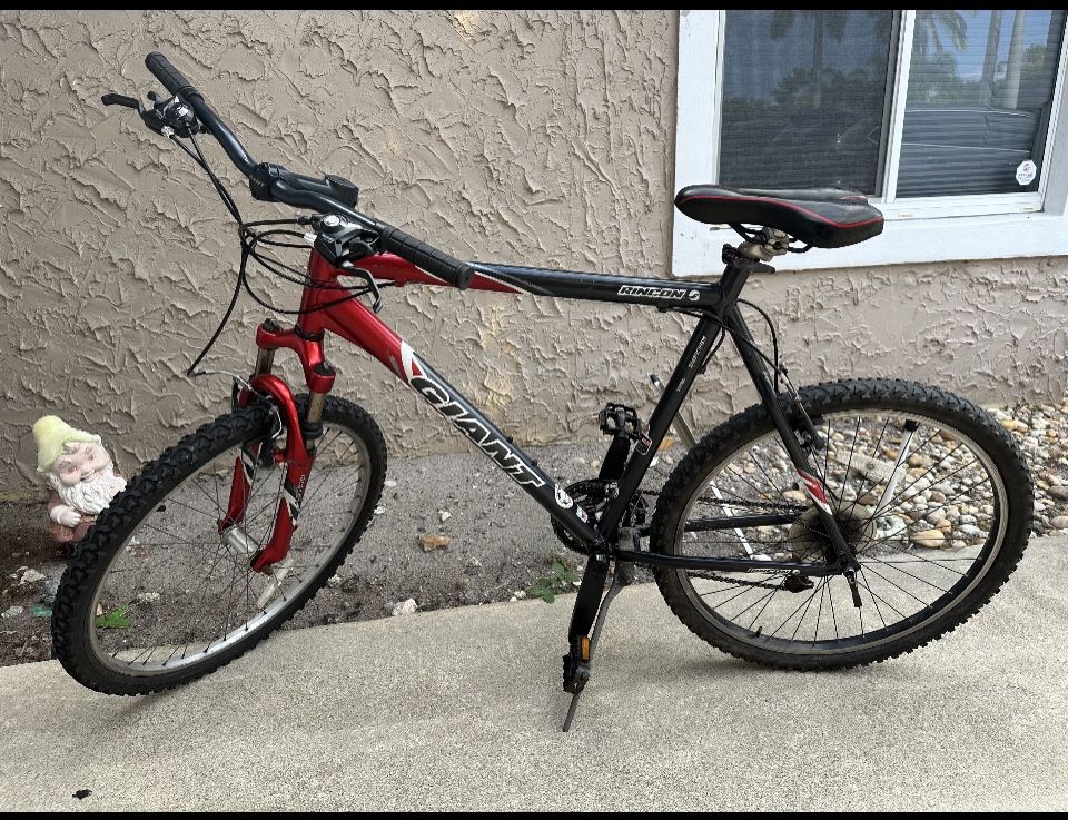 Giant Hybrid Bicycle