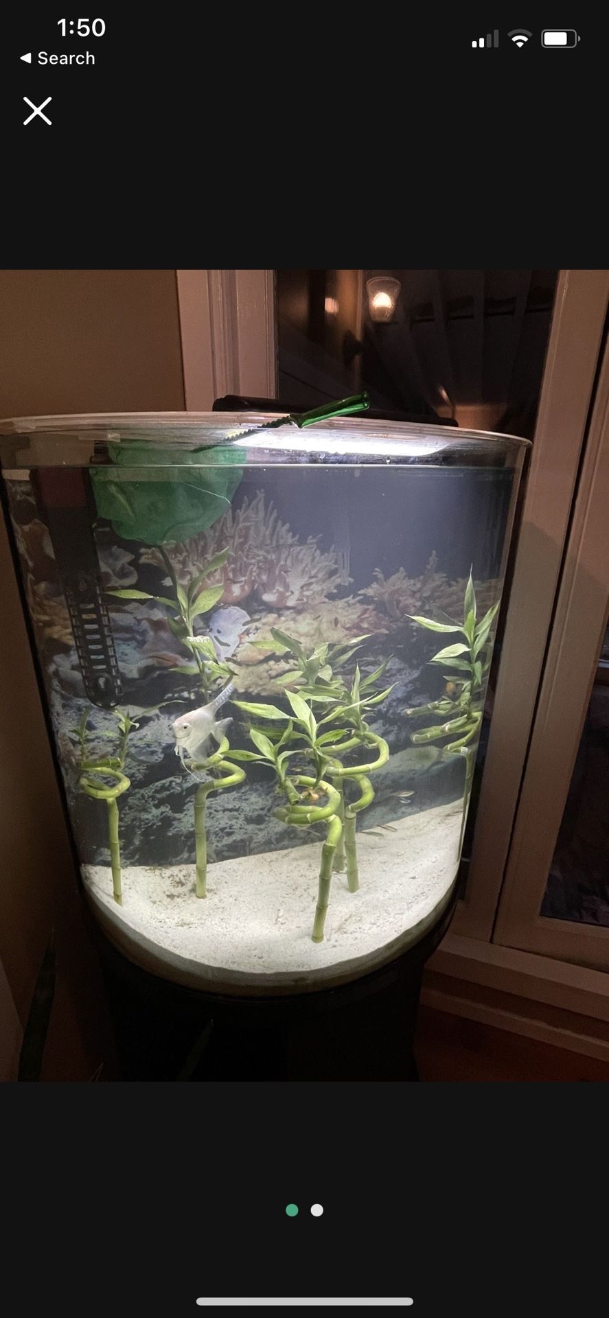 Half Dome Fish Tank