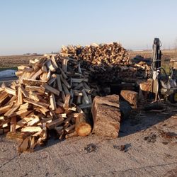 Firewood 