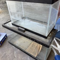 Fish tanks with supplies for beta fish