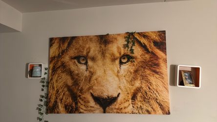 Lion canvas