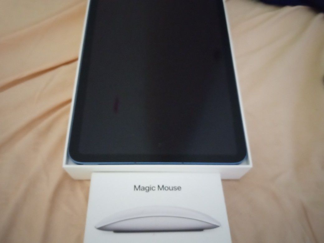 Apple iPad And Magic Mouse