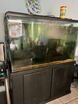 150 Gallon Fish Tank