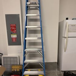 8 Ft. Ladder
