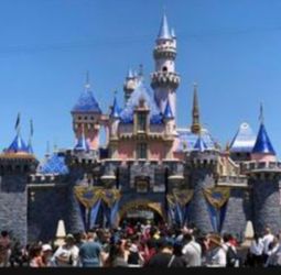 Disneyland park hoppers