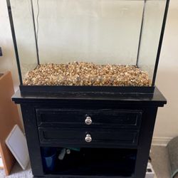 20 Gallon Aquarium Kit W/free stand 