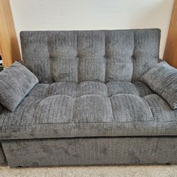 Sleeper Love Seat