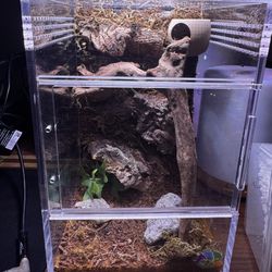 Jumping Spider Enclosure 
