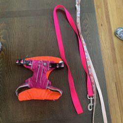 Chest and straps  - Pechera y correas