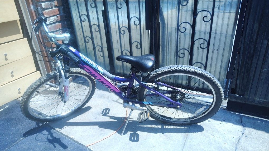 Girls Schwinn Bike