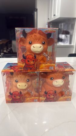 Highland cow