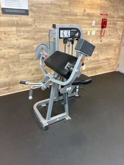 Life Fitness Bicep Curl 