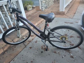 Girls Schwinn Bike