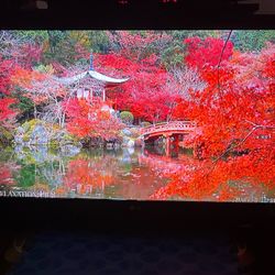 LG 42” LCD HDTV