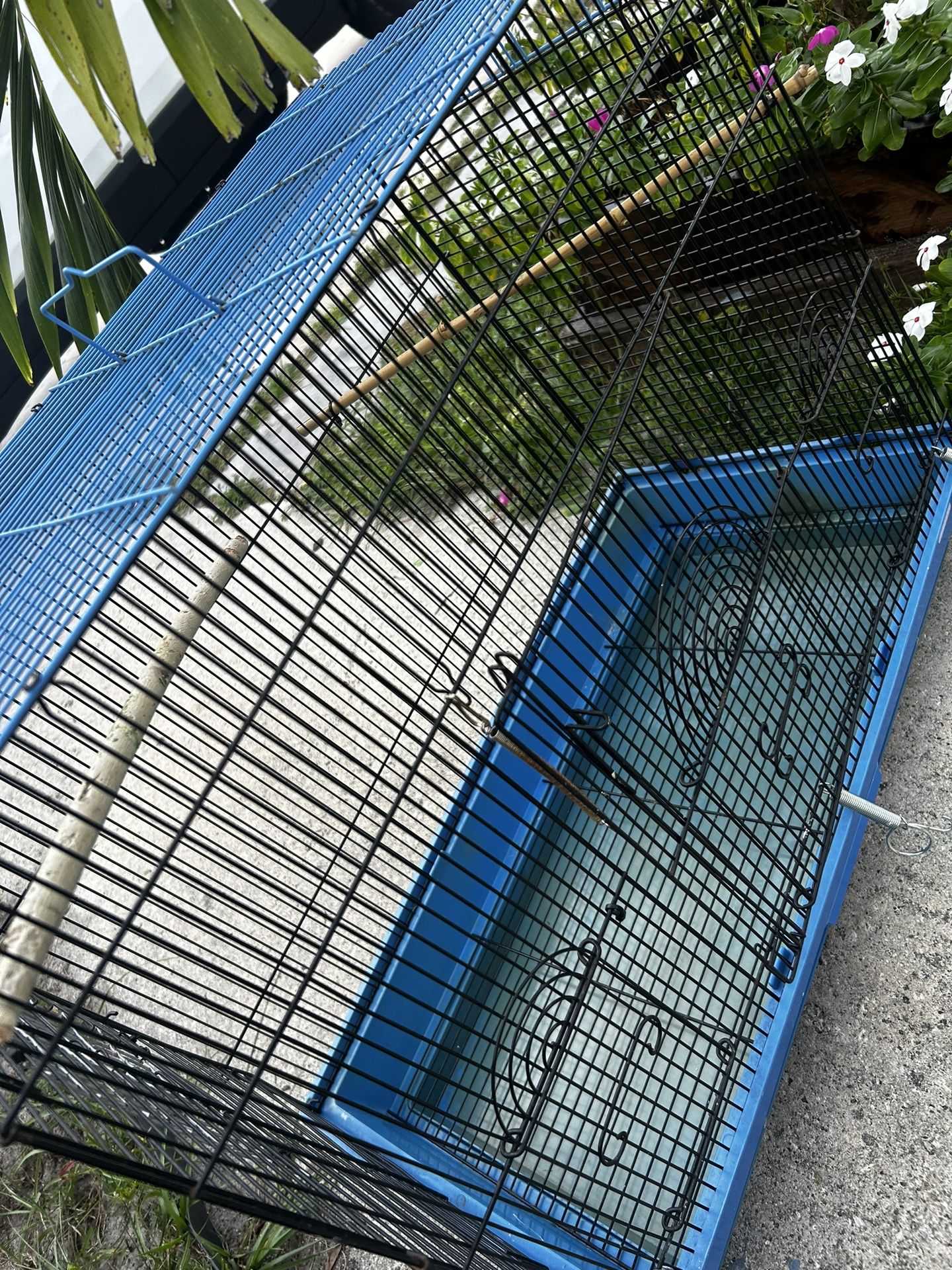 Bird Cage